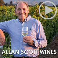 Allan Scott wines Video